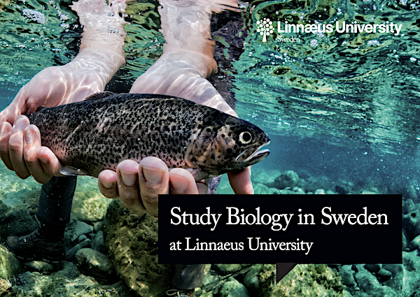 Study_Biology_LNU_Kalmar_2019-20