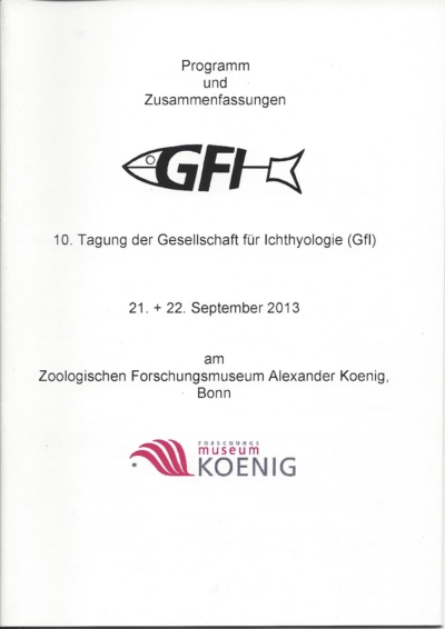 2013_GFI_10