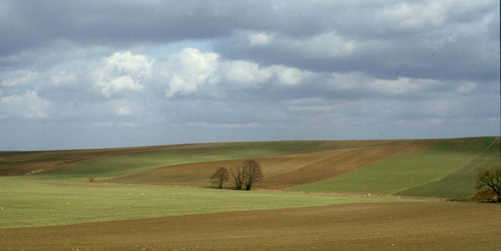 Lapau_1984_Heiko_Brunken