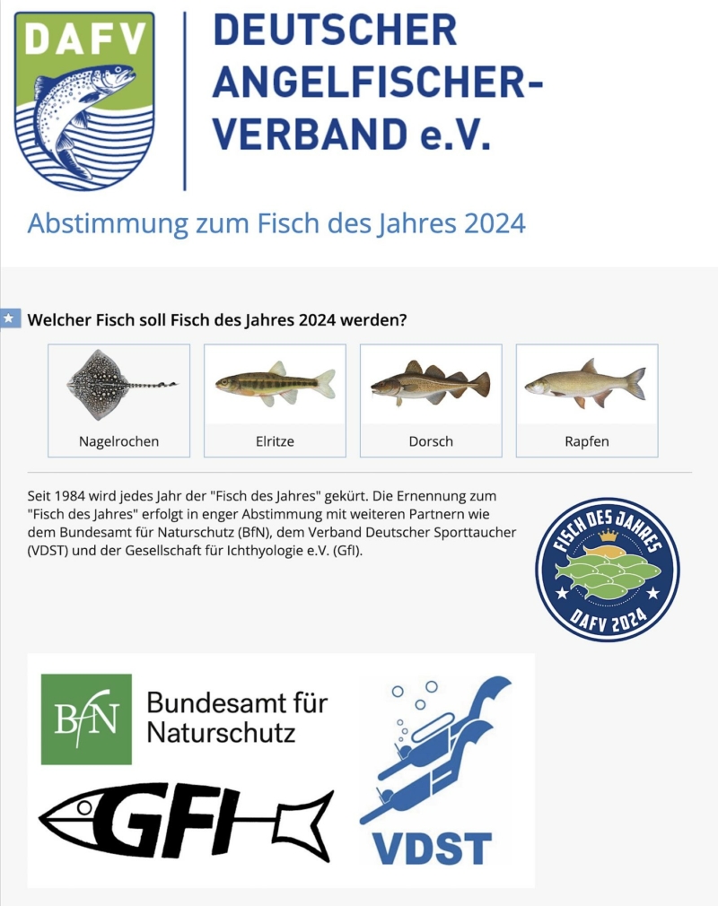 Wahl zum Fisch des Jahres 2024 Gesellschaft für Ichthyologie e.V.