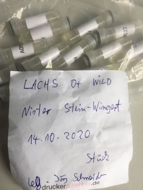 Datenorganisation