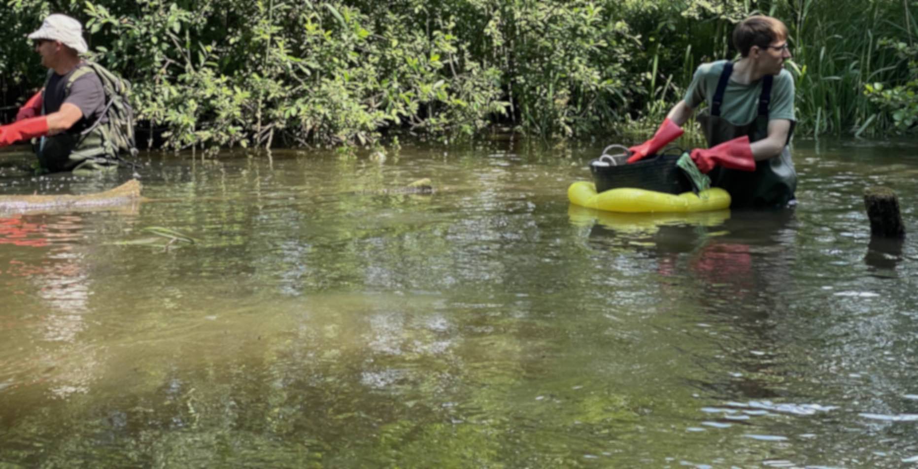 DAFV Preis 2025 IMG_1281